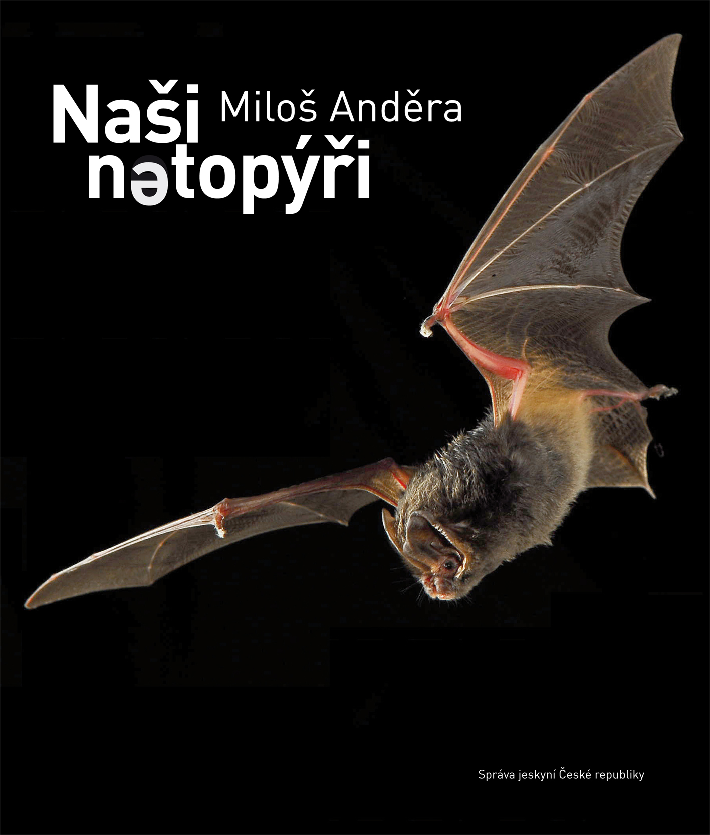Naši netopýři - kniha