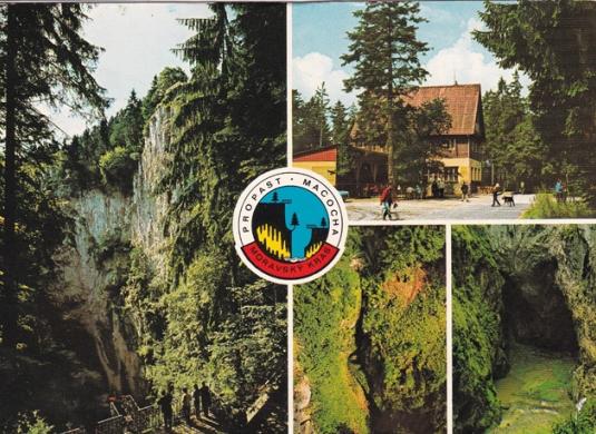 MACOCHA (1981)