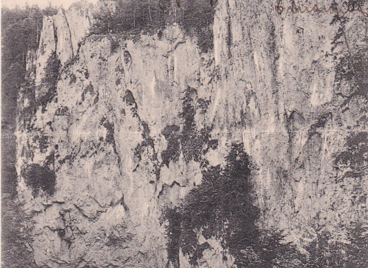 Mazocha  (nedatováno)