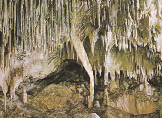 Jeskyně Balcarka (nedatováno)