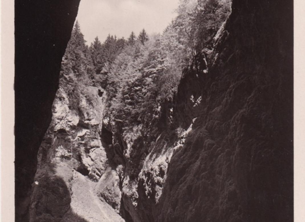 Macocha (nedatováno)