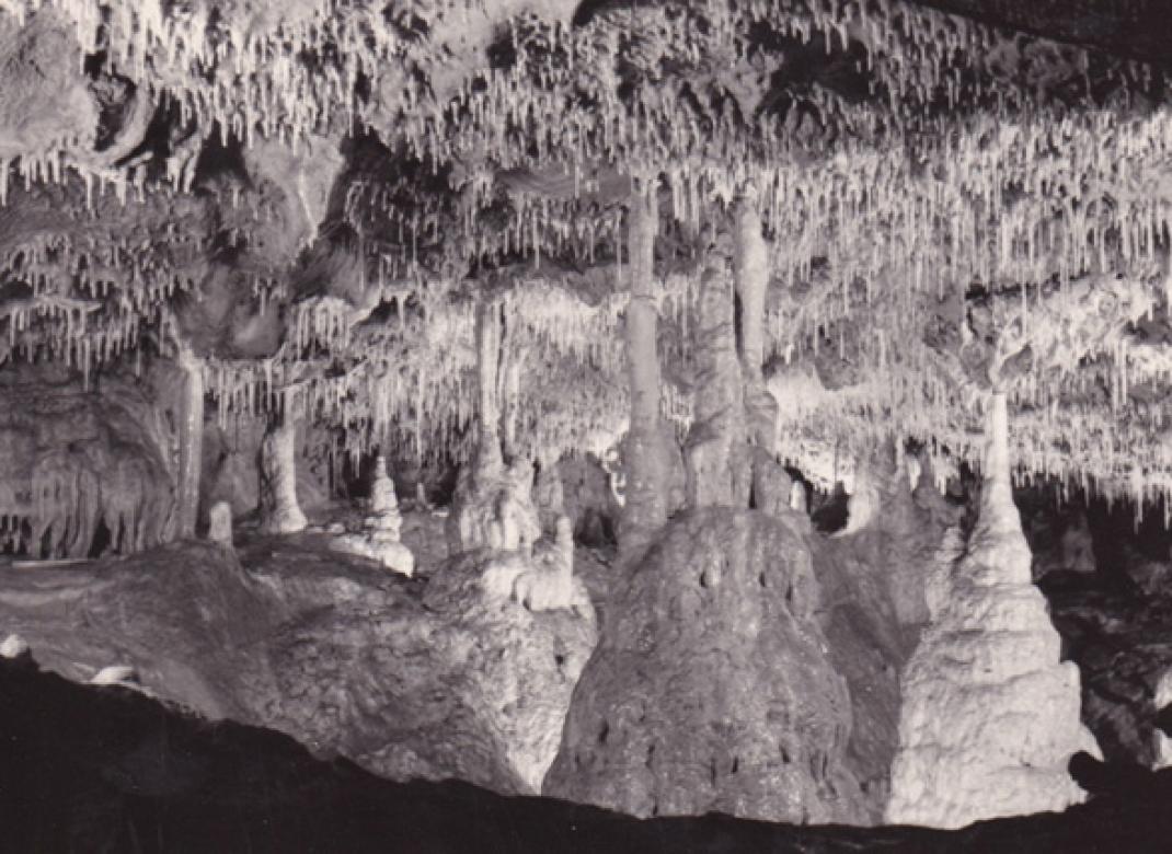 Jeskyně Balcarka (nedatováno) První galerie. Strop s brčky – v popředí špičková pagoda