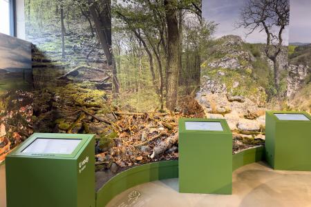 Koněpruské jeskyně - Dům přírody Českého krasu - expozice