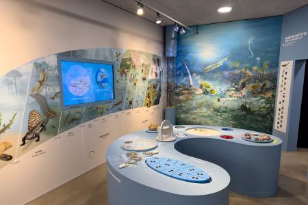 Koněpruské jeskyně - Dům přírody Českého krasu - expozice