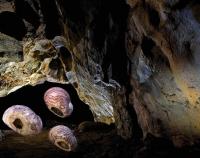 Kateřinská jeskyně - archeologické nálezy